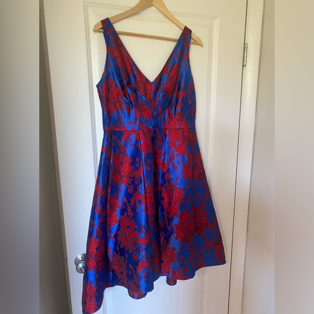 Blue dress with red florals. Tulle skirt